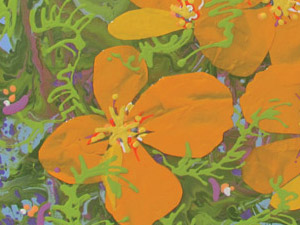 California-Poppies-24x24'-thumb