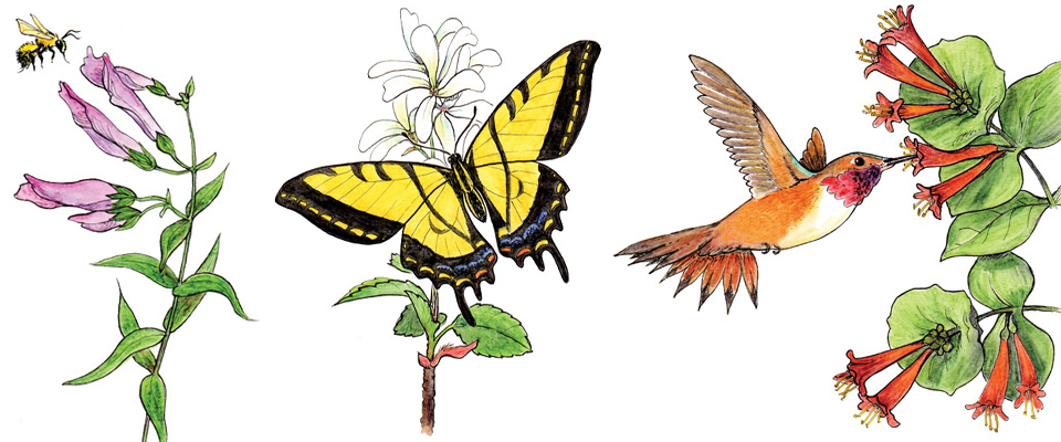 Pollinator slider